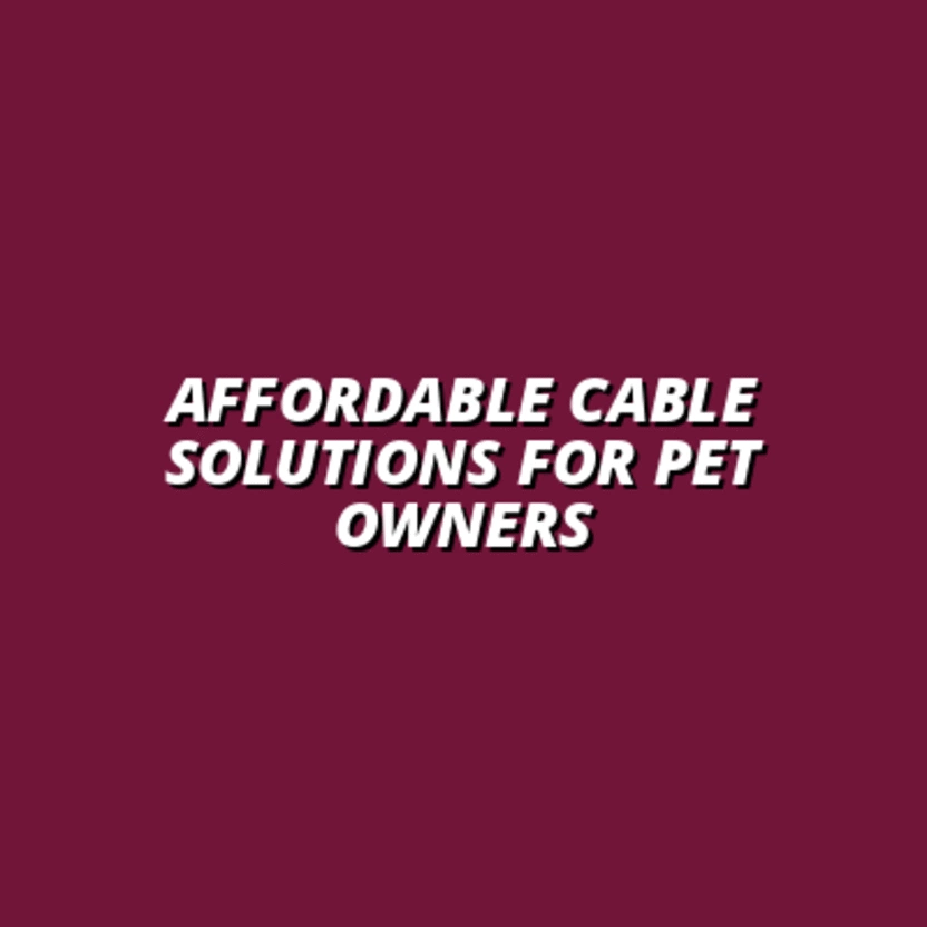 best deals on cable management accessories for pets