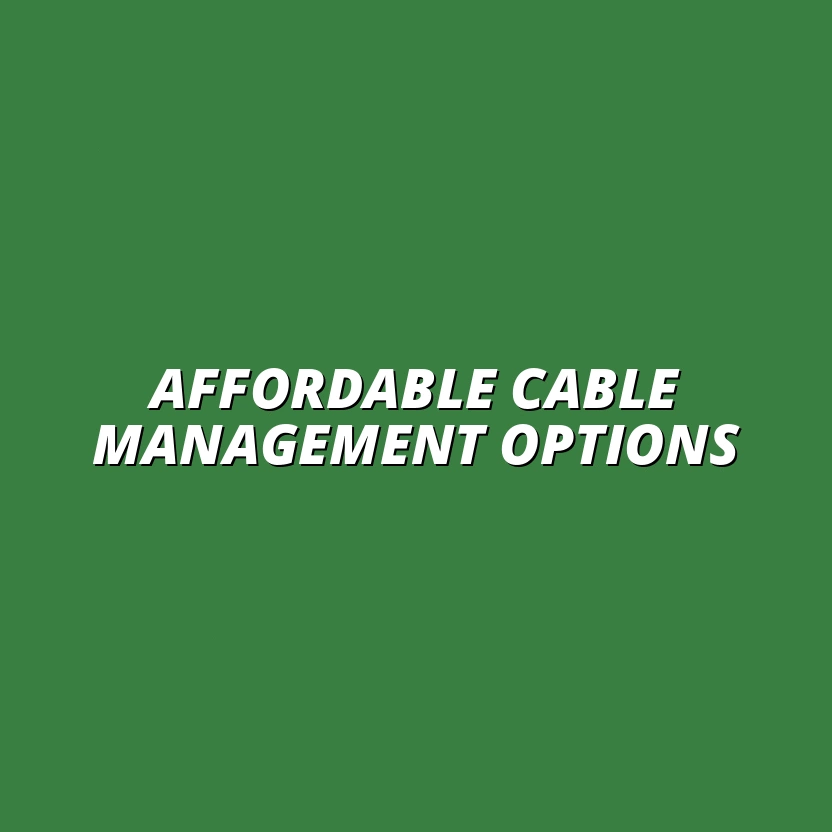 comparing cable management solutions under $50
